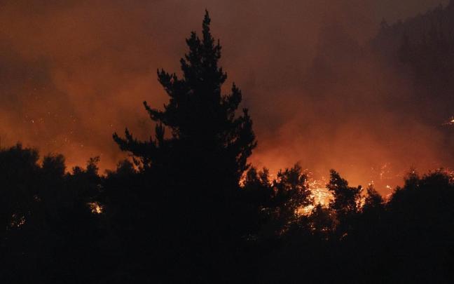 Los incendios forestales arrasan Chile: 40.000 hectáreas calcinadas y al menos 20 fallecidos