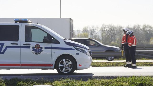 La Ertzaintza detuvo el pasado domingo al presunto autor del crimen. / IREKIA