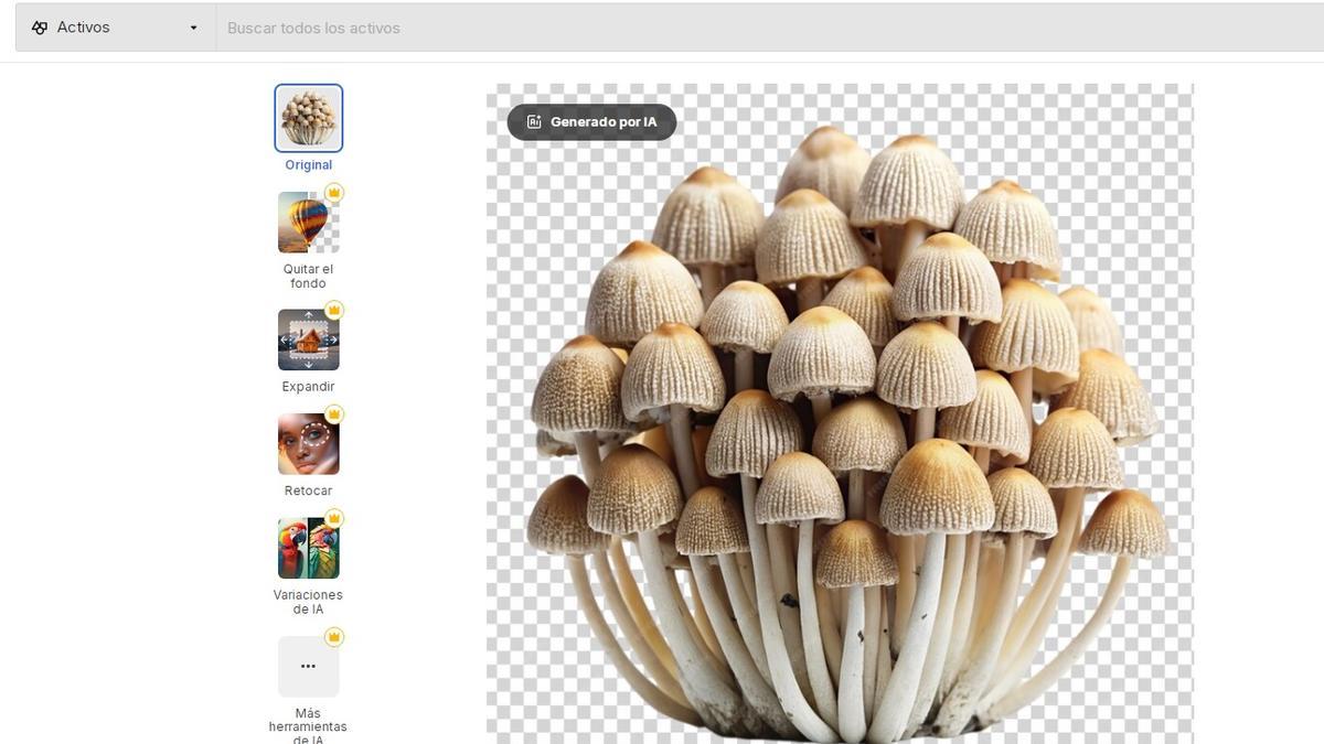 La falsa seta de tinta que ha creado Freepik con IA y Google ha dado por buena.