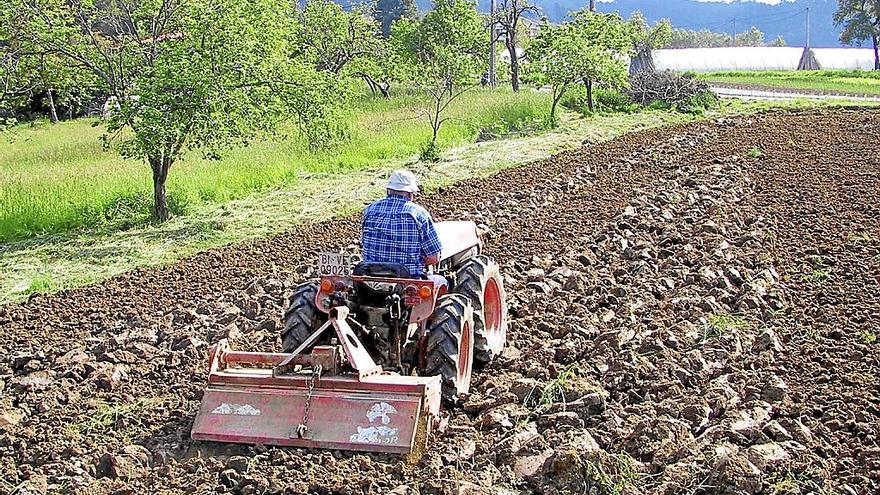 Agricultura familiar sin familiares