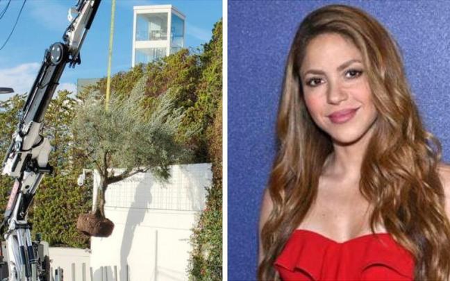 La grúa con el árbol y Shakira.