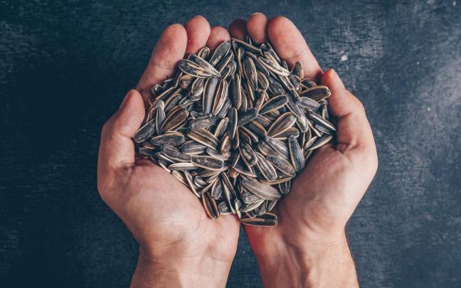 Las pipas consumidas con moderación tienen muchos beneficios.