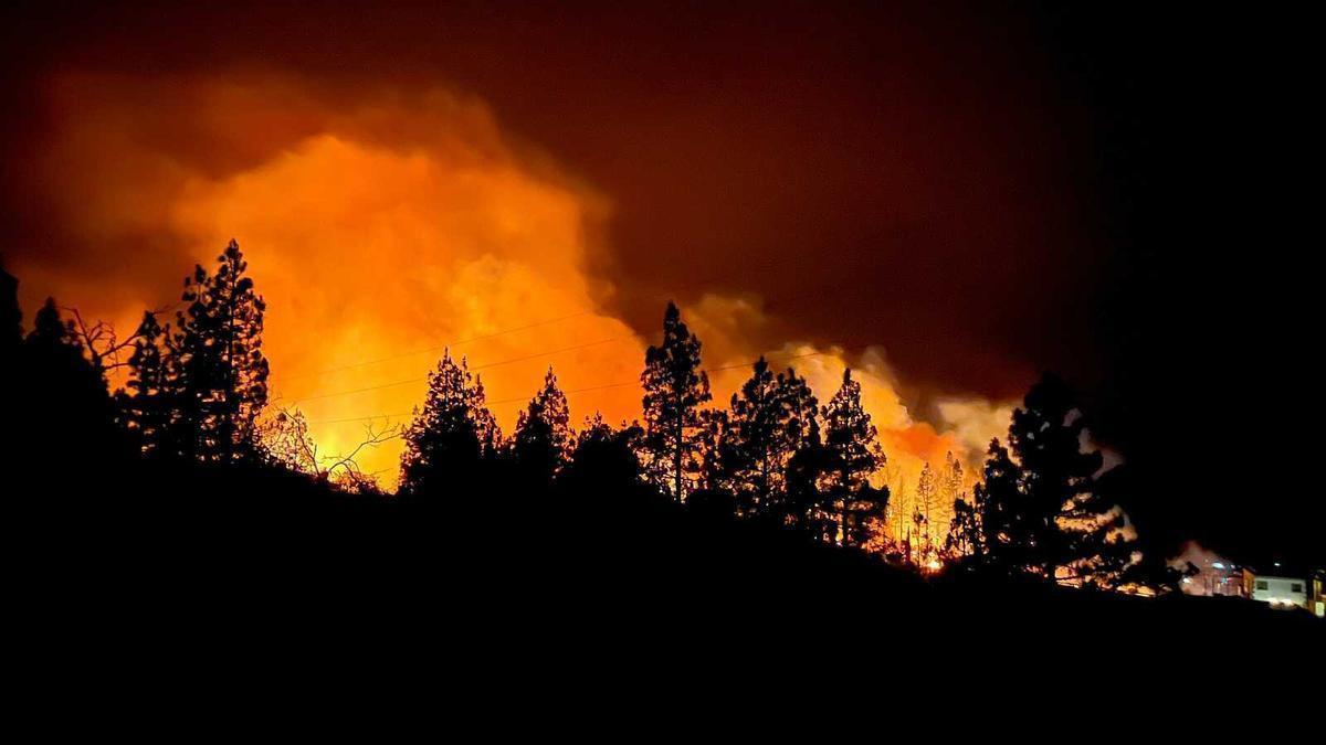 Incendio declarado en la localidad de Puntagorda en La Palma.