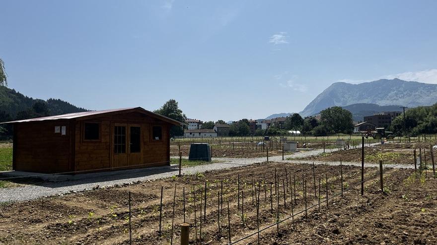 Huertos lúdicos de Tornosolo