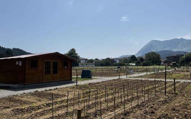Huertos lúdicos de Tornosolo