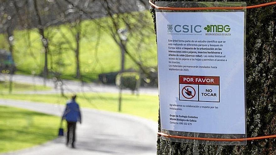 Investigadores del CSIC están realizando el estudio. | FOTO: PABLO VIÑAS