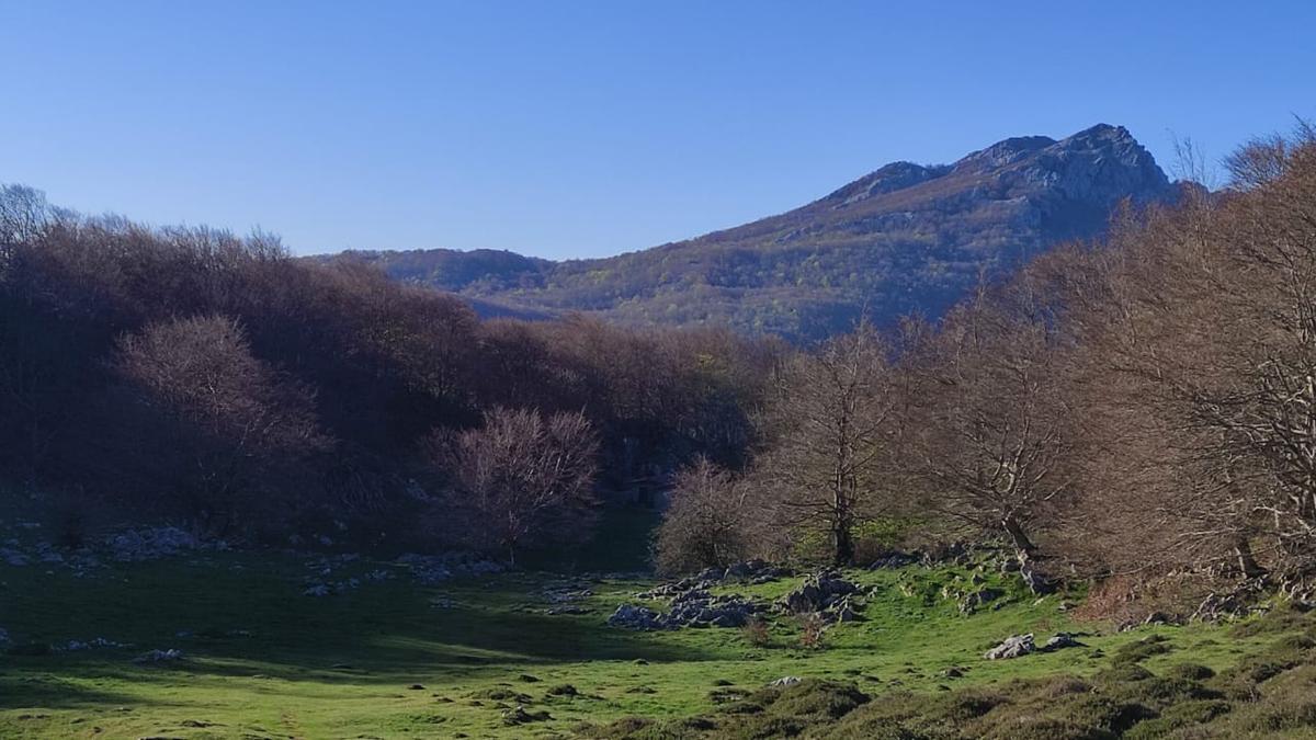 En la cabaña del tuerto encaramos la parte final de bajada por el hayedo