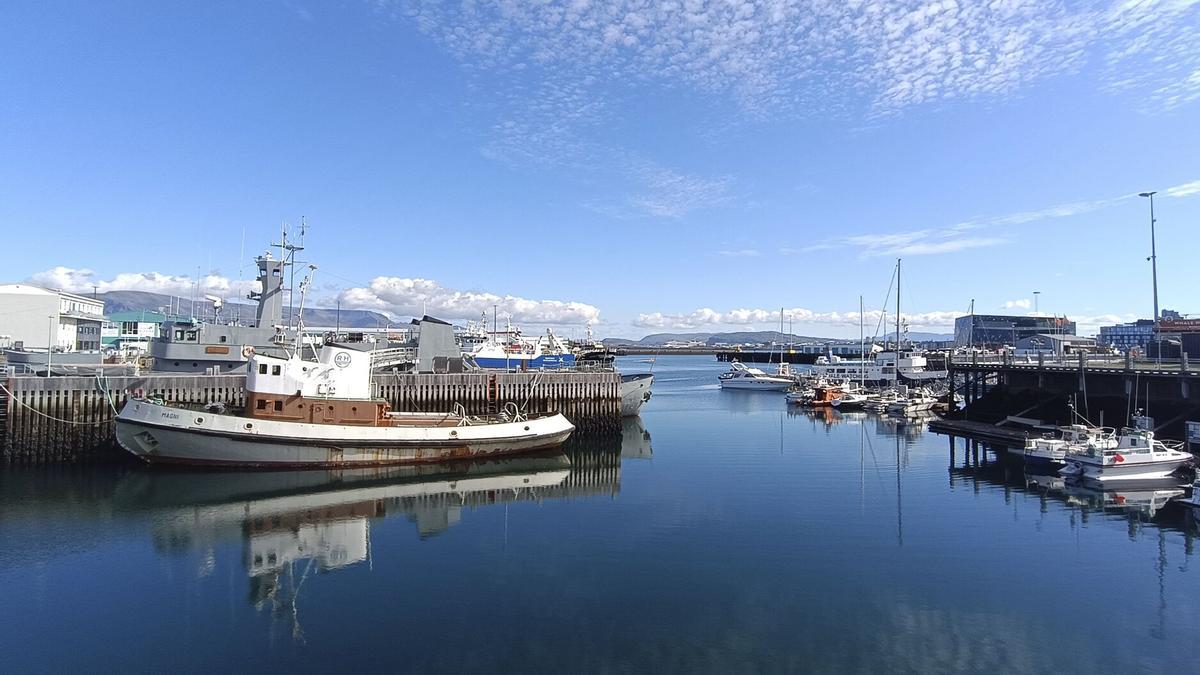a gestión de la pesca y el coste de vida dividen a Islandia ante el referendo sobre la UE.