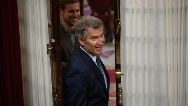 El presidente del PP, Alberto Núñez Feijóo, en el Congreso de los Diputados / Europa Press El presidente del PP, Alberto Núñez Feijóo, en el Congreso de los Diputados