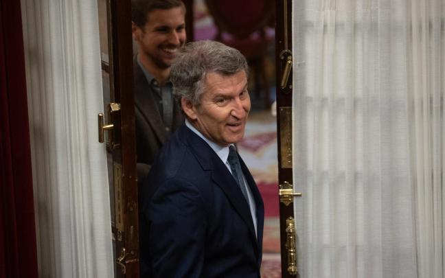 El presidente del PP, Alberto Núñez Feijóo, en el Congreso de los Diputados / Europa Press El presidente del PP, Alberto Núñez Feijóo, en el Congreso de los Diputados