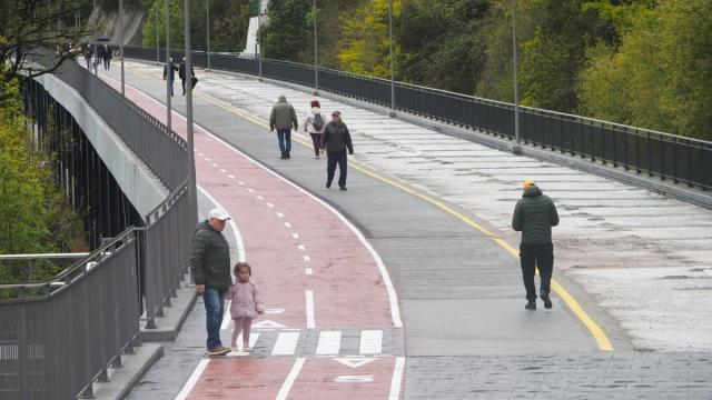 El desarrollo de las obras contempla la colocación de vegetación a lo largo del paseo.