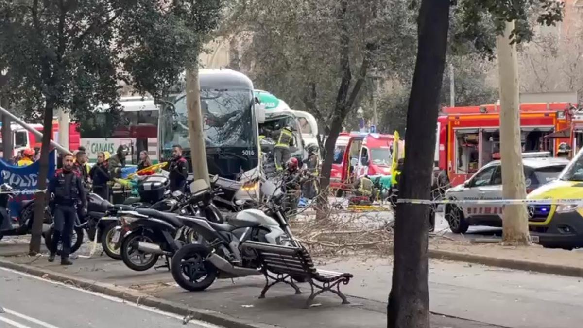 Imágenes del incidente entre dos autobuses