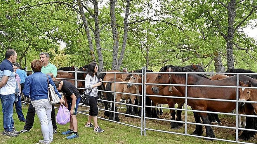 Feria caballo Ondategi en una anterior edición