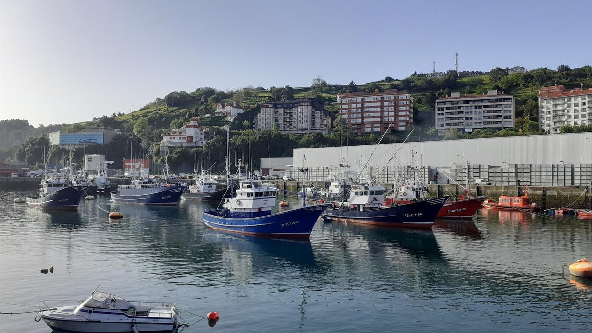 Barcos de pesca amarrados en el puerto de Bermeo, Bizkaia.