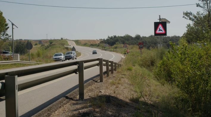 Imagen de la prueba piloto en la N-260.