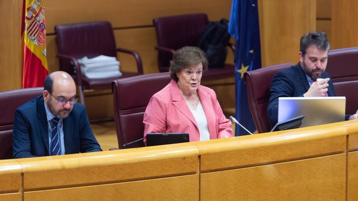 La presidenta del Tribunal de Cuentas, Enriqueta Chicano, en el Senado.
