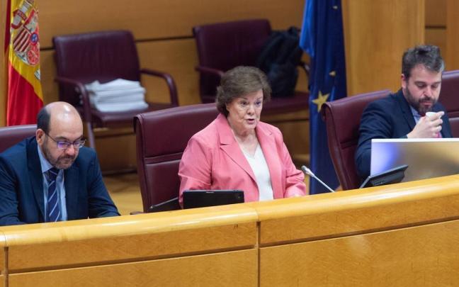 La presidenta del Tribunal de Cuentas, Enriqueta Chicano, en el Senado. / EP La presidenta del Tribunal de Cuentas, Enriqueta Chicano, en el Senado.