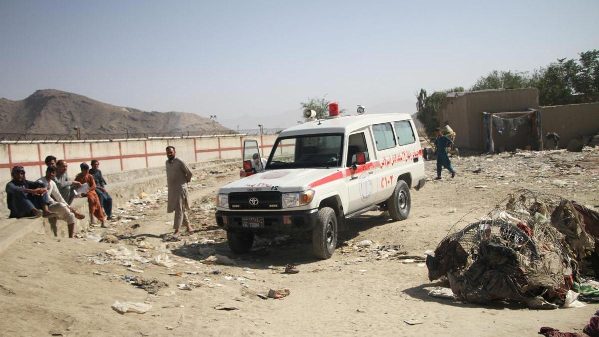 El terrorismo dejó en 2024 menos muertos y atentados en el mundo pero más países afectados