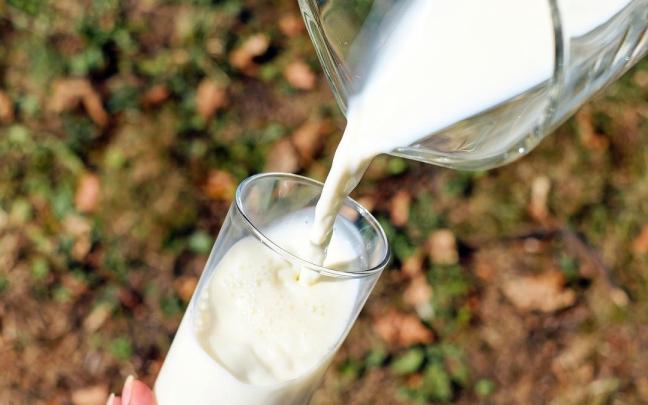 Una leche de calidad aporta proteínas de un alto valor biológico fundamentales para nuestro organismo.
