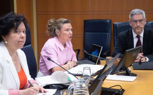 La consejera de Salud, Gotzone Sagardui, en una comisión parlamentaria. La consejera de Salud, Gotzone Sagardui, en una comisión parlamentaria.