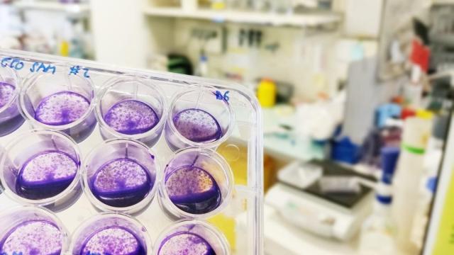 CIC bioGUNE se sitúa entre los 100 mejores centros de investigación en biomedicina del mundo, según la revista Nature