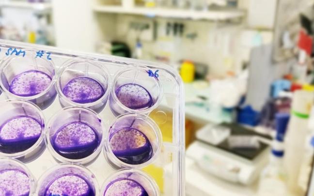 CIC bioGUNE se sitúa entre los 100 mejores centros de investigación en biomedicina del mundo, según la revista Nature