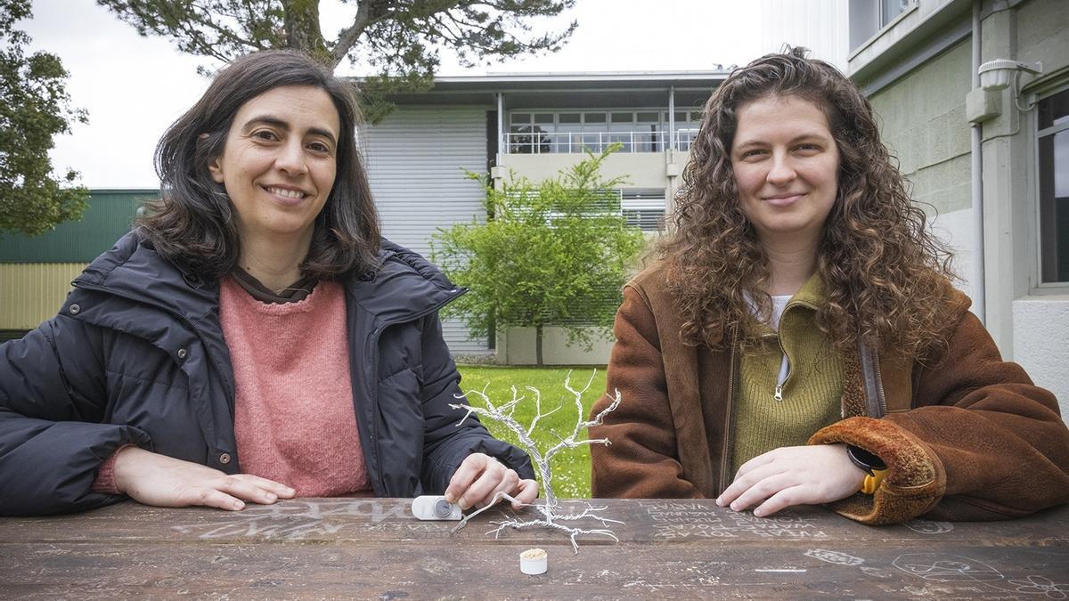 La profesora Verónica Palomares Durán del Grupo de Estado Sólido y Materiales de la EHU y la doctora Nekane Nieto Álvaro del grupo "Ecodesigned Energy and Systems (EDGY)" de BCMaterials