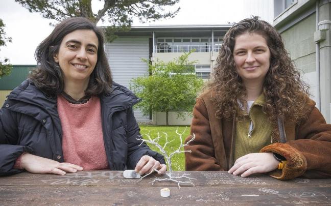 La profesora Verónica Palomares Durán del Grupo de Estado Sólido y Materiales de la EHU y la doctora Nekane Nieto Álvaro del grupo "Ecodesigned Energy and Systems (EDGY)" de BCMaterials