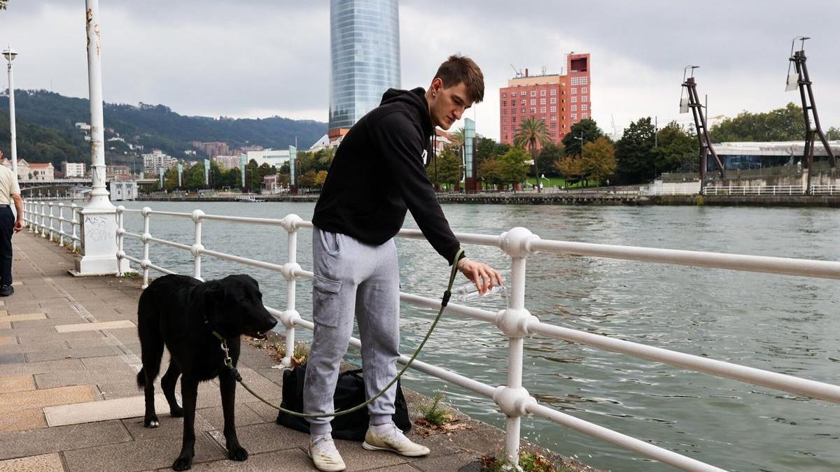 Cómo limpiar los orines de tu perro para que no te multen