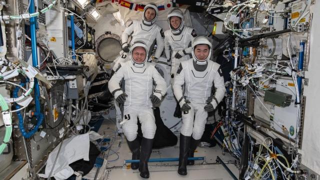 La Crew-11, con un astronauta enfermo, regresa a la Tierra en un amerizaje perfecto.