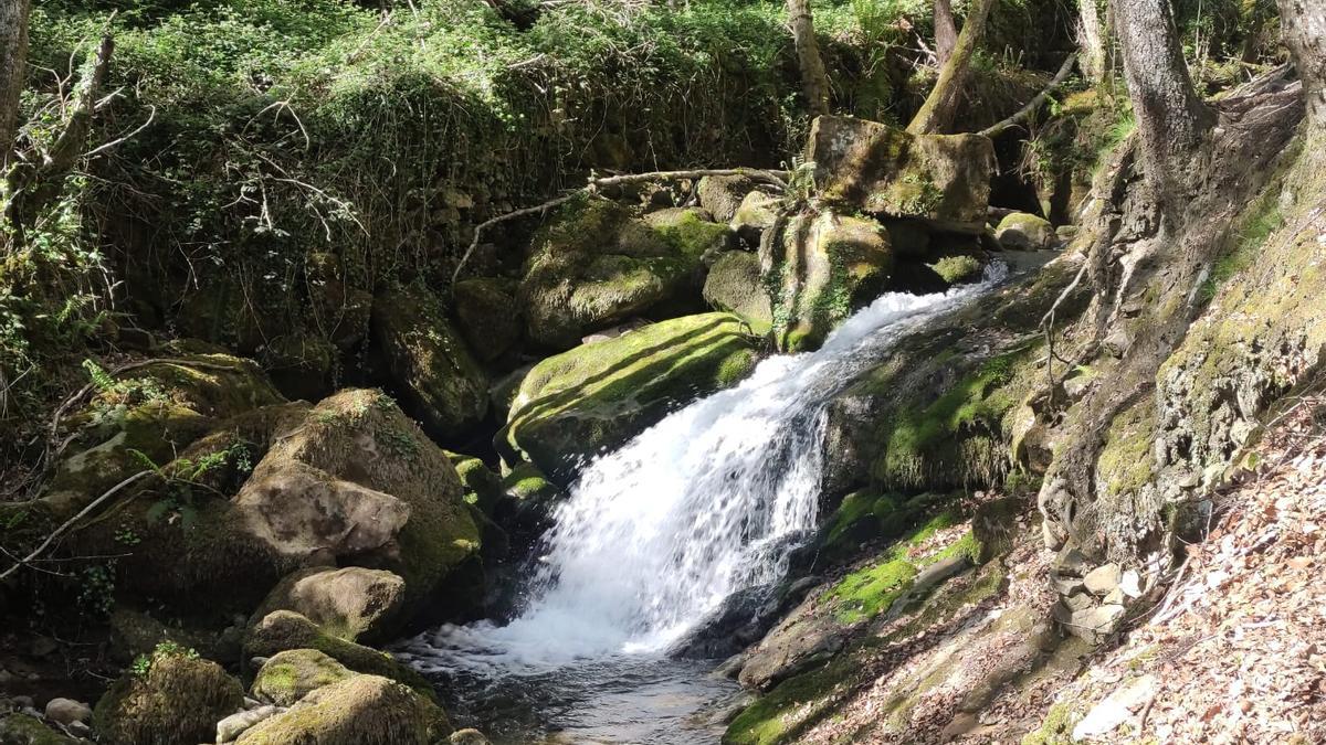 El rio Zirauntza nos acompaña en la primera parte de la ruta