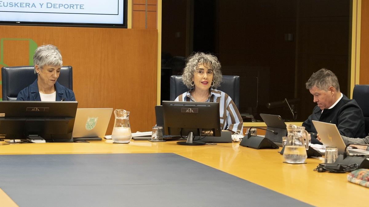 Bengoetxea, ha presentado este miércoles en una comparecencia en comisión parlamentaria
