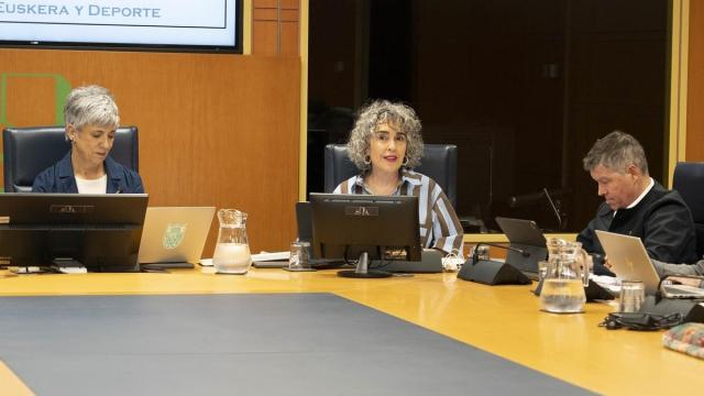 Bengoetxea, ha presentado este miércoles en una comparecencia en comisión parlamentaria