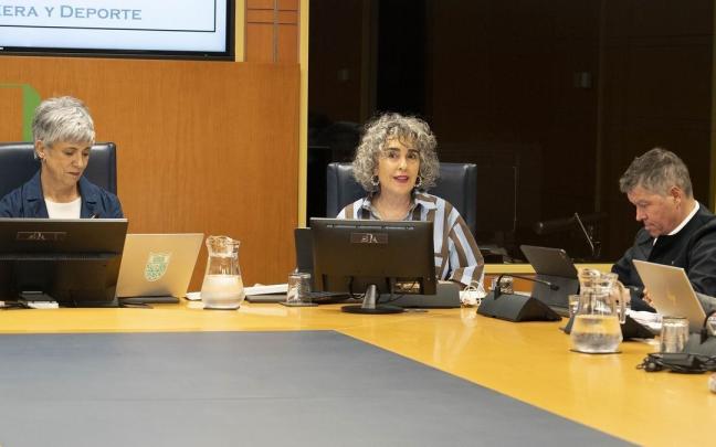 Bengoetxea, ha presentado este miércoles en una comparecencia en comisión parlamentaria