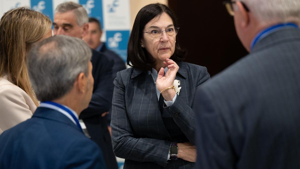 La presidenta de la Comisión Nacional de los Mercados y la Competencia, Cani Fernández.