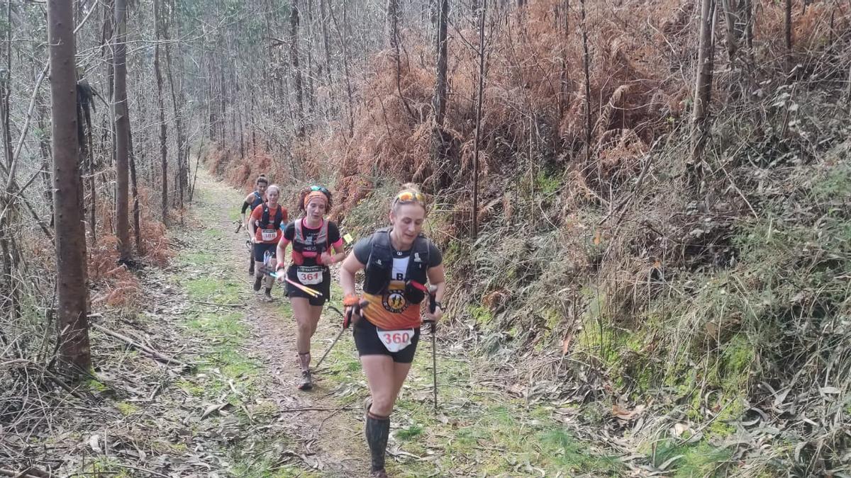 Subiendo por el camino del robledal