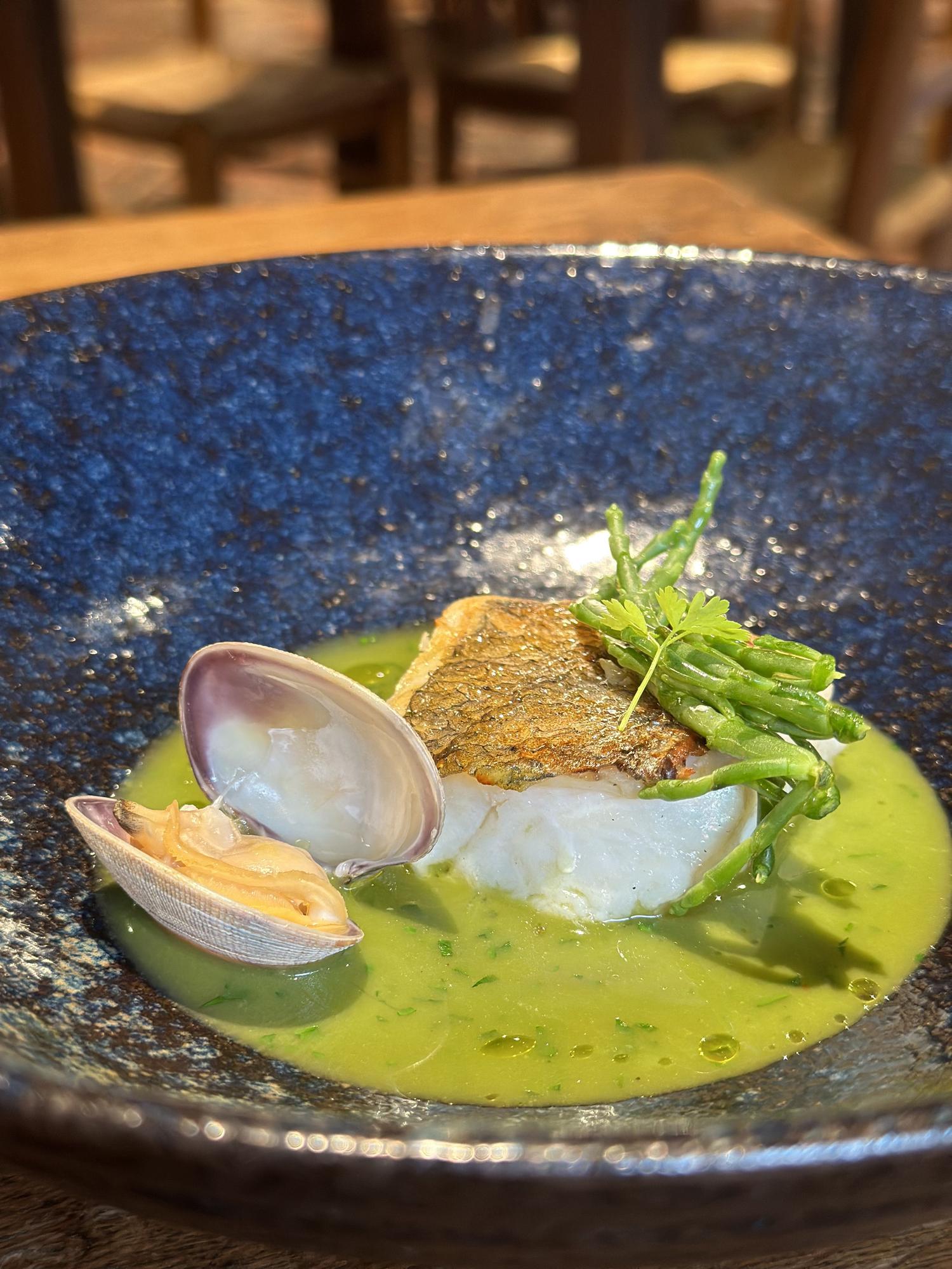 Merluza de anzuelo, plancton y almeja fina.