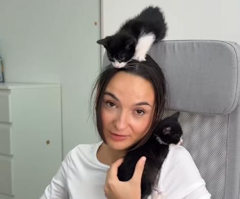 Patitas&Co busca expandirse con iniciativas beneficiosas para las mascotas y sus tutores.