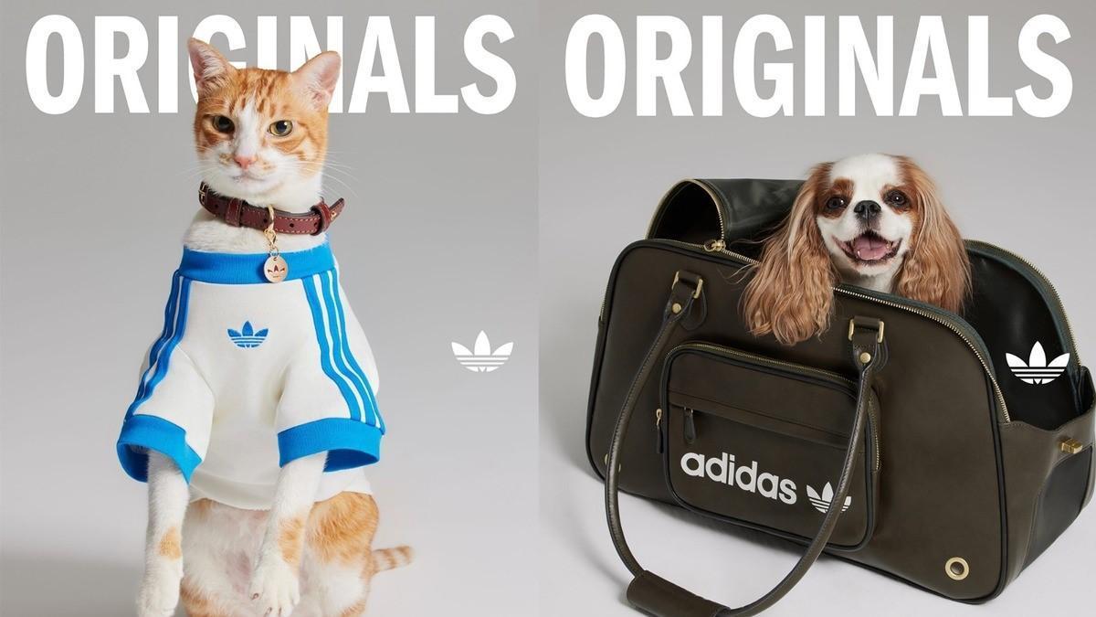 La nueva colección de Adidas Originals para mascotas