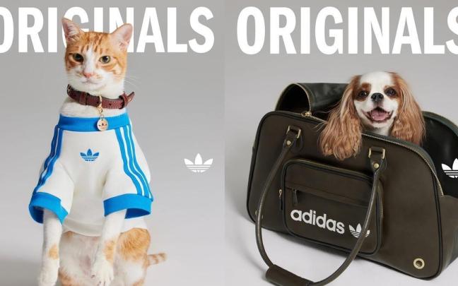La nueva colección de Adidas Originals para mascotas