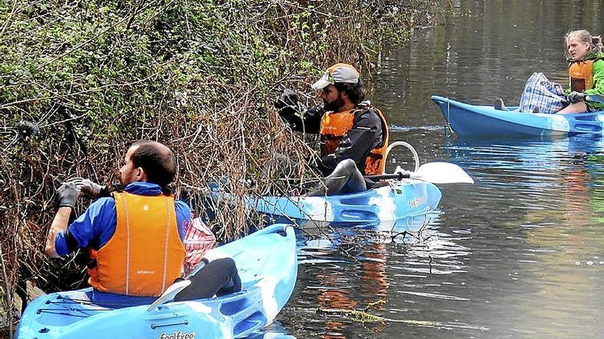 Varios voluntarios limpiando el río en Tolosa. | FOTO: M.S.S.