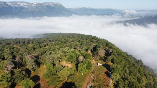 El poblado de la Edad de Hierro ocupa 10 hectáreas de la cima del monte Babio en Izoria, Ayala