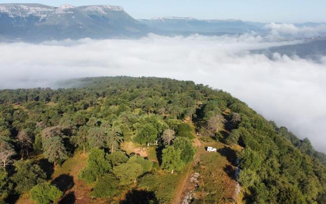 El poblado de la Edad de Hierro ocupa 10 hectáreas de la cima del monte Babio en Izoria, Ayala