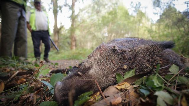 Guerra contra el plástico: Piden prohibir cubiertos desechables,  bastoncillos y toallitas húmedas - Onda Vasca