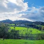 Parcelas rurales de Urnieta.