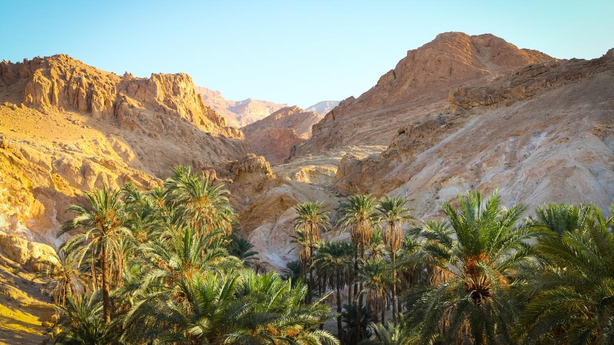 El entorno del oasis Nefta.