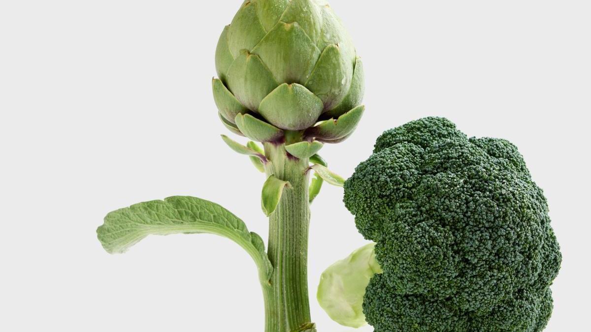 Brócoli y alcachofa, dos verduras de invierno muy ricas en nutrientes.