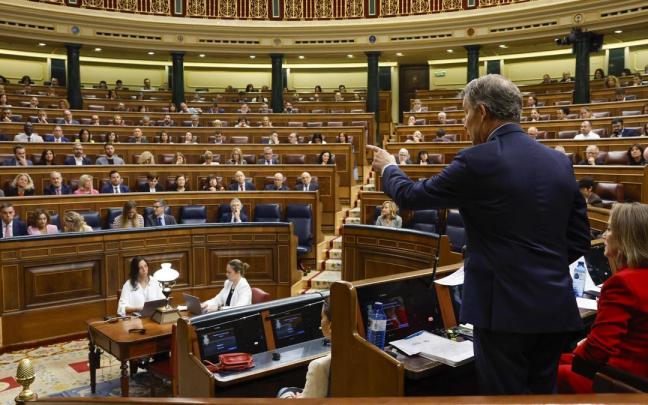 FEijóo se dirige a Sánchez en el Congreso. / EFE FEijóo se dirige a Sánchez en el Congreso.