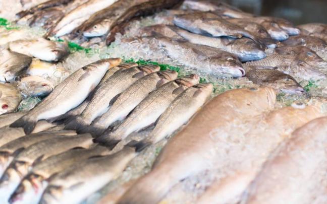 Pescado