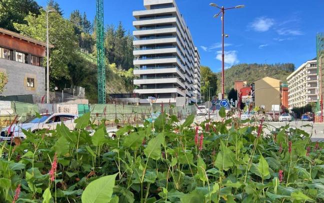 El Ayuntamiento busca la participación ciudadana